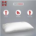 Royalty Comfort HG-5076BMC: Bamboo Pillow Cover