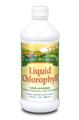 Solaray Chlorophyll Liquid 480ml