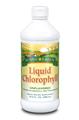 Solaray Chlorophyll Liquid 480ml