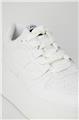 Ash  Women Sneakers