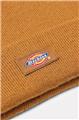 Dickies Men Cap