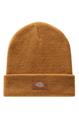 Dickies Men Cap