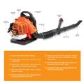 Herzberg HG-8068GB: Petrol Powered Backpack Leaf Blower