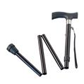 Wellys Foldable Walking Stick with Bag