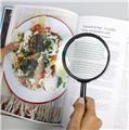 Genius Ideas Magnifying Glass Set