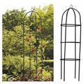 Kinzo Garden Rose Column - Green 185x40cm