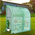 Herzberg Lean on Walk-In Greenhouse with Windows