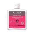 Cattier Paris Cattier Champu Color Cabell Teñido 250ml