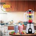 Just Perfecto JL-02: 800W Blender & Smoothie Maker  - 1.5L